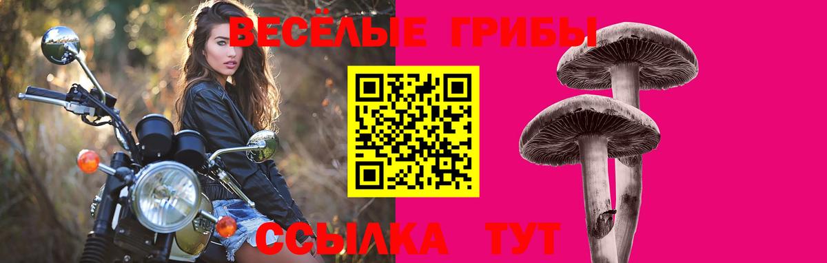 Галлюциногенные грибы прущие грибы Феодосия